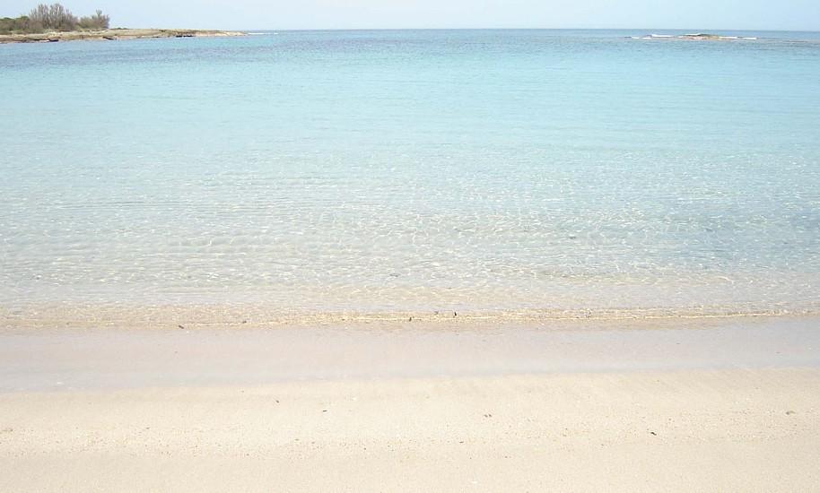 Torre guaceto - Riserva naturale - spiaggia a 4,2 km